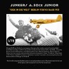 Junkers A.50ce Junior - "Kiek in die Welt"