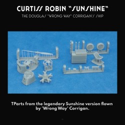 Curtiss Robin Sunshine