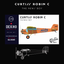 Curtiss Robin C - The Newsboy