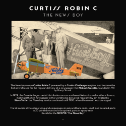 Curtiss Robin C - The Newsboy