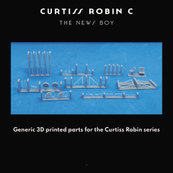 Curtiss Robin C - The Newsboy