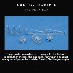 Curtiss Robin C - The Newsboy