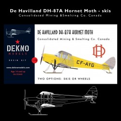 De Havilland DH-87A Hornet Moth - skis