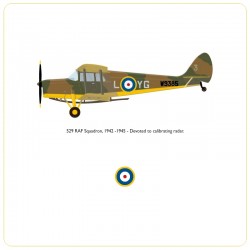 De Havilland DH-87B Hornet Moth - RAF